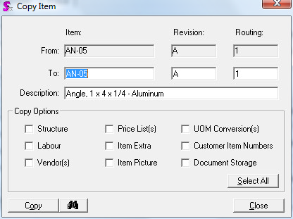 Copy Item form with copy options