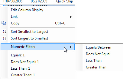 Numeric right click menu with Numeric Filters option expanded